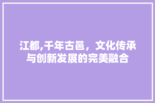 江都,千年古邑，文化传承与创新发展的完美融合 网站建设公司