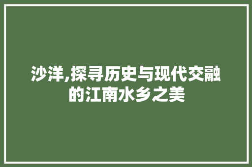 沙洋,探寻历史与现代交融的江南水乡之美 搜狗SEO