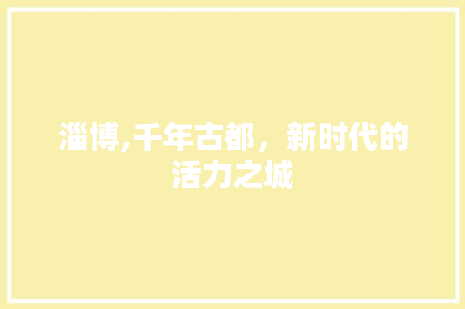 淄博,千年古都，新时代的活力之城 必应SEO