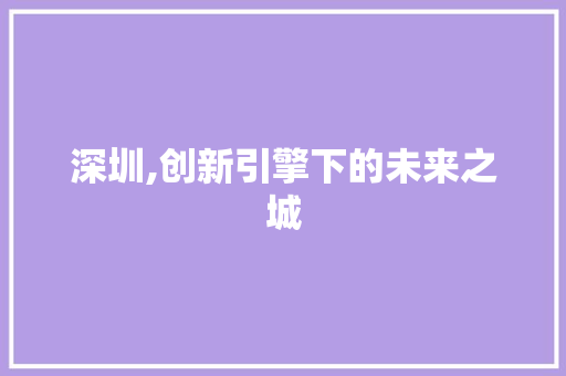 深圳,创新引擎下的未来之城 网站建设公司