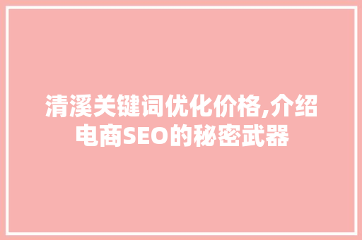 清溪关键词优化价格,介绍电商SEO的秘密武器 网站建设公司