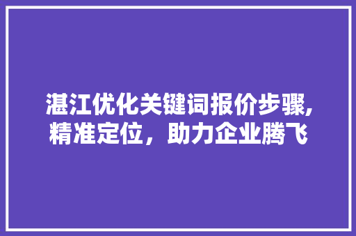 湛江优化关键词报价步骤,精准定位，助力企业腾飞 百度SEO