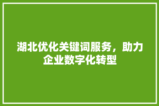 湖北优化关键词服务，助力企业数字化转型 百度SEO