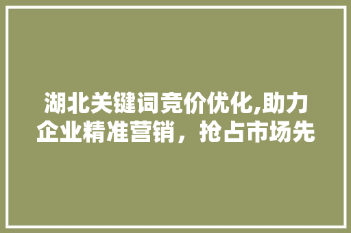 湖北关键词竞价优化,助力企业精准营销，抢占市场先机
