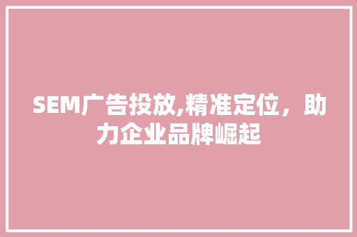 SEM广告投放,精准定位，助力企业品牌崛起