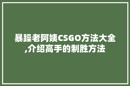 暴躁老阿姨CSGO方法大全,介绍高手的制胜方法