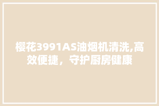 樱花3991AS油烟机清洗,高效便捷，守护厨房健康