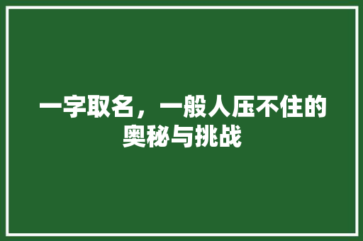 一字取名，一般人压不住的奥秘与挑战 百度SEO