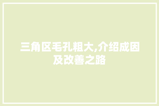 三角区毛孔粗大,介绍成因及改善之路 网站建设公司