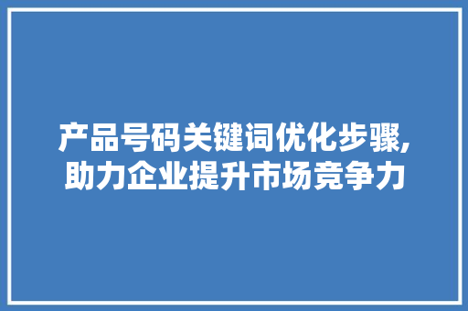 产品号码关键词优化步骤,助力企业提升市场竞争力