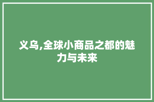 义乌,全球小商品之都的魅力与未来 网站建设公司