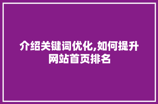 介绍关键词优化,如何提升网站首页排名 必应SEO