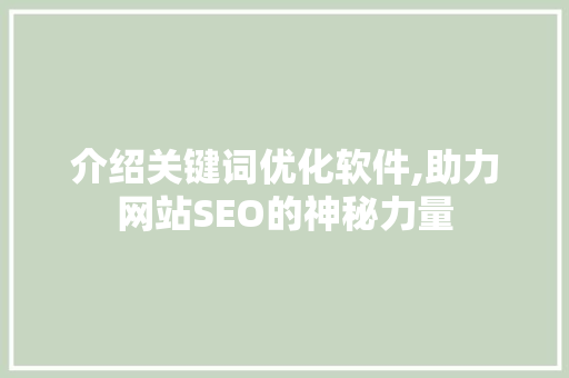 介绍关键词优化软件,助力网站SEO的神秘力量 百度SEO