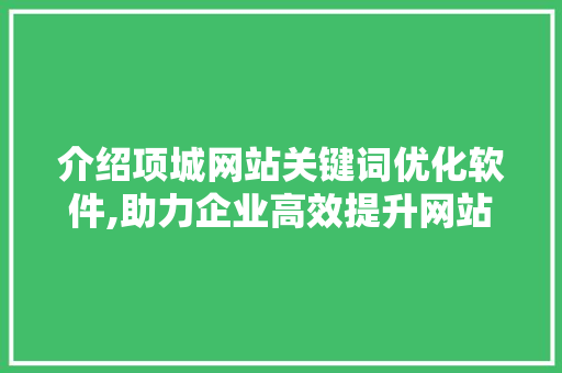 介绍项城网站关键词优化软件,助力企业高效提升网站排名