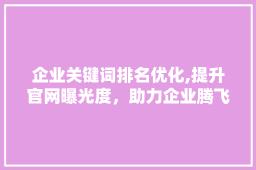 企业关键词排名优化,提升官网曝光度，助力企业腾飞 神马SEO