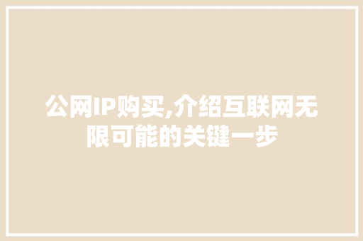 公网IP购买,介绍互联网无限可能的关键一步 必应SEO