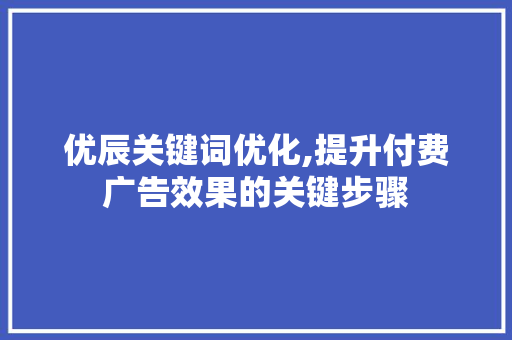 优辰关键词优化,提升付费广告效果的关键步骤 必应SEO