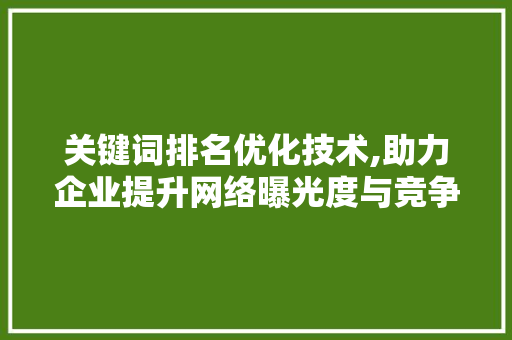 关键词排名优化技术,助力企业提升网络曝光度与竞争力