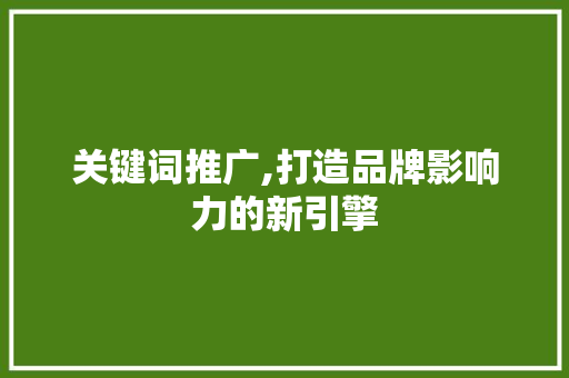 关键词推广,打造品牌影响力的新引擎