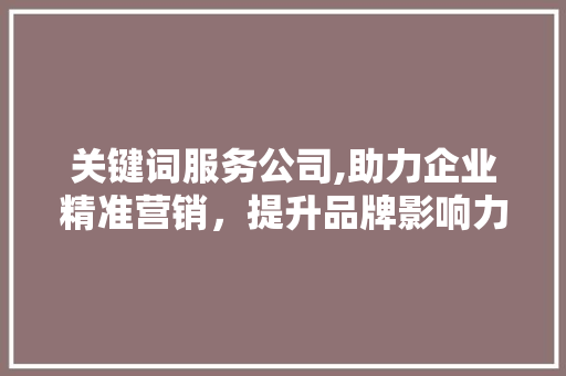 关键词服务公司,助力企业精准营销，提升品牌影响力 SEO关键词