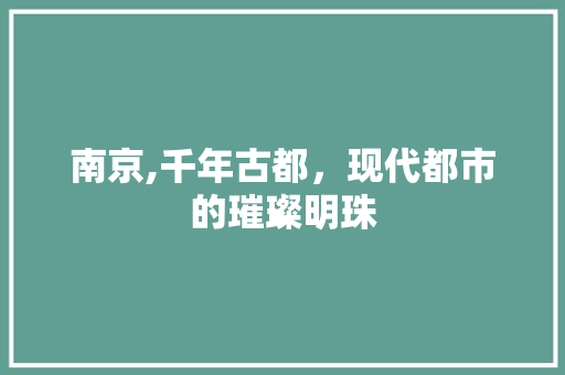 南京,千年古都，现代都市的璀璨明珠 百度SEO
