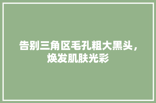 告别三角区毛孔粗大黑头，焕发肌肤光彩