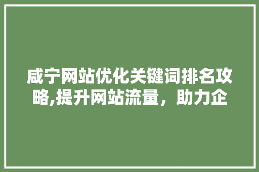 咸宁网站优化关键词排名攻略,提升网站流量，助力企业腾飞 必应SEO
