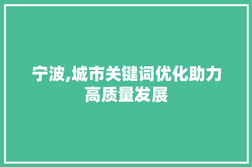 宁波,城市关键词优化助力高质量发展 神马SEO
