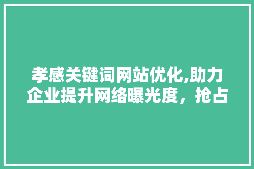 孝感关键词网站优化,助力企业提升网络曝光度，抢占市场先机 必应SEO