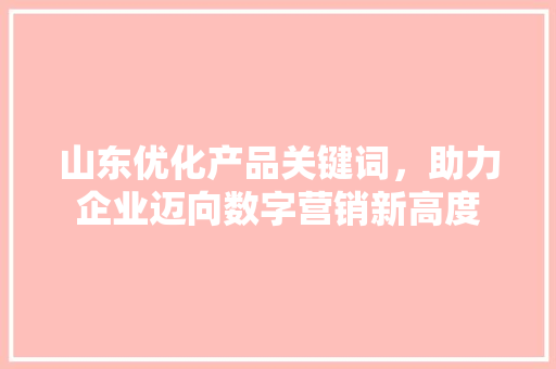 山东优化产品关键词，助力企业迈向数字营销新高度 必应SEO