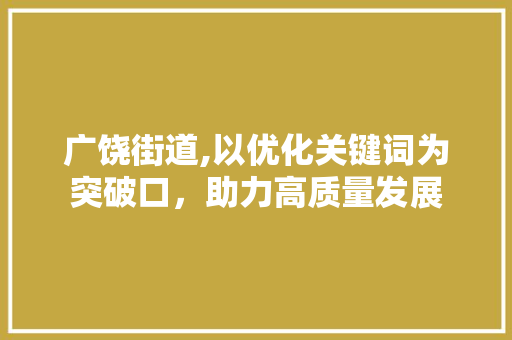 广饶街道,以优化关键词为突破口，助力高质量发展 百度SEO