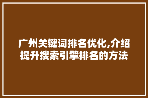 广州关键词排名优化,介绍提升搜索引擎排名的方法 SEO关键词
