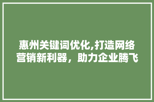 惠州关键词优化,打造网络营销新利器，助力企业腾飞 SEO关键词