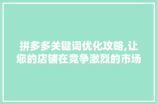 拼多多关键词优化攻略,让您的店铺在竞争激烈的市场中脱颖而出