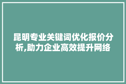 昆明专业关键词优化报价分析,助力企业高效提升网络营销 百度SEO