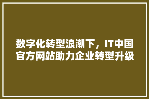 数字化转型浪潮下，IT中国官方网站助力企业转型升级