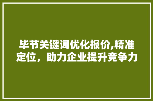 毕节关键词优化报价,精准定位，助力企业提升竞争力 SEO关键词