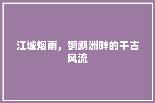 江城烟雨，鹦鹉洲畔的千古风流
