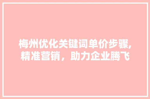 梅州优化关键词单价步骤,精准营销，助力企业腾飞 百度SEO