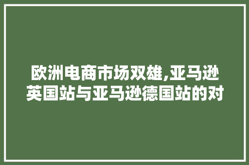 欧洲电商市场双雄,亚马逊英国站与亚马逊德国站的对比分析 百度SEO