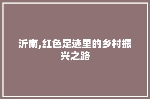 沂南,红色足迹里的乡村振兴之路