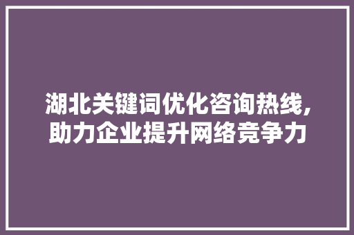 湖北关键词优化咨询热线,助力企业提升网络竞争力 必应SEO