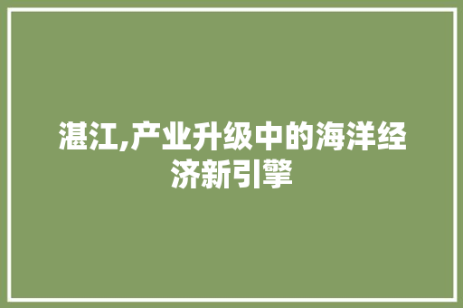 湛江,产业升级中的海洋经济新引擎