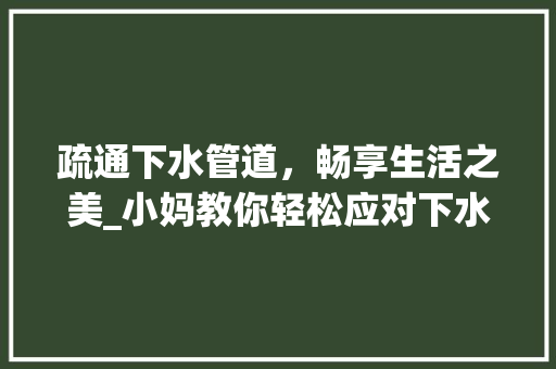疏通下水管道，畅享生活之美_小妈教你轻松应对下水道堵塞难题 SEO关键词