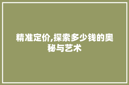 精准定价,探索多少钱的奥秘与艺术
