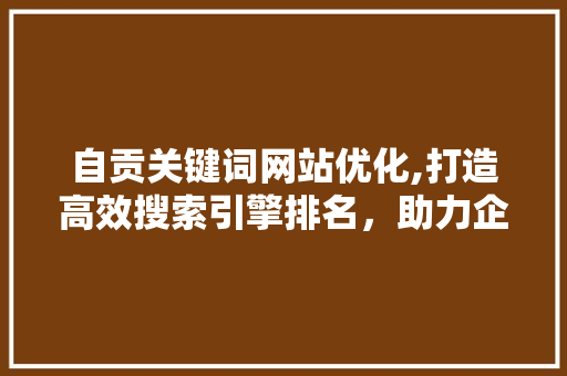 自贡关键词网站优化,打造高效搜索引擎排名，助力企业腾飞 网站建设公司