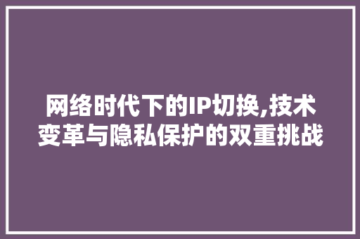 网络时代下的IP切换,技术变革与隐私保护的双重挑战