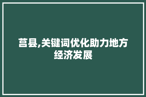 莒县,关键词优化助力地方经济发展