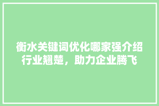 衡水关键词优化哪家强介绍行业翘楚，助力企业腾飞 必应SEO