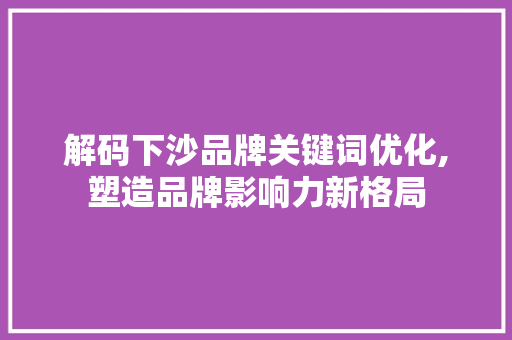 解码下沙品牌关键词优化,塑造品牌影响力新格局 网站建设公司
